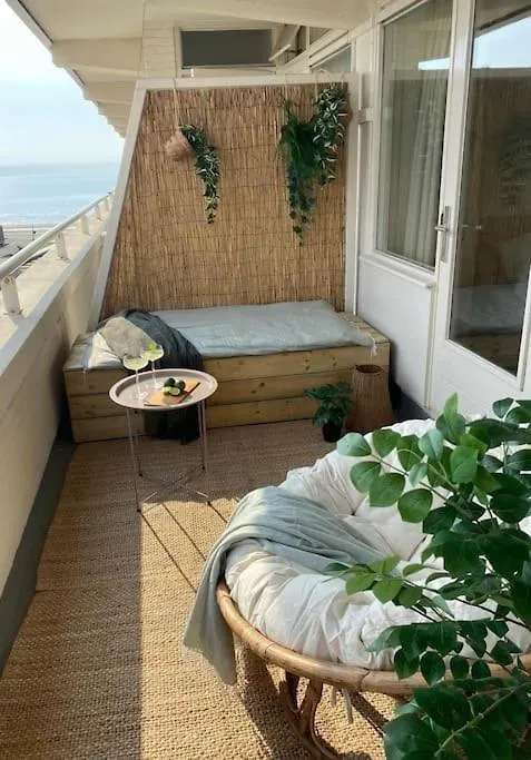 Cozy Beachfront Apartment Central In Town Zandvoort